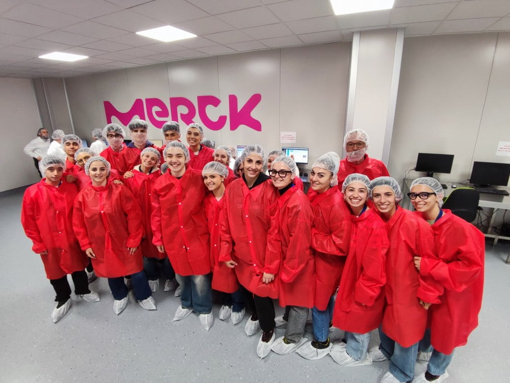 mini-merck